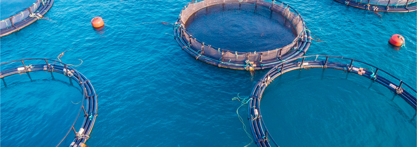 aquaculture and fisheries aquaculture and fisheries