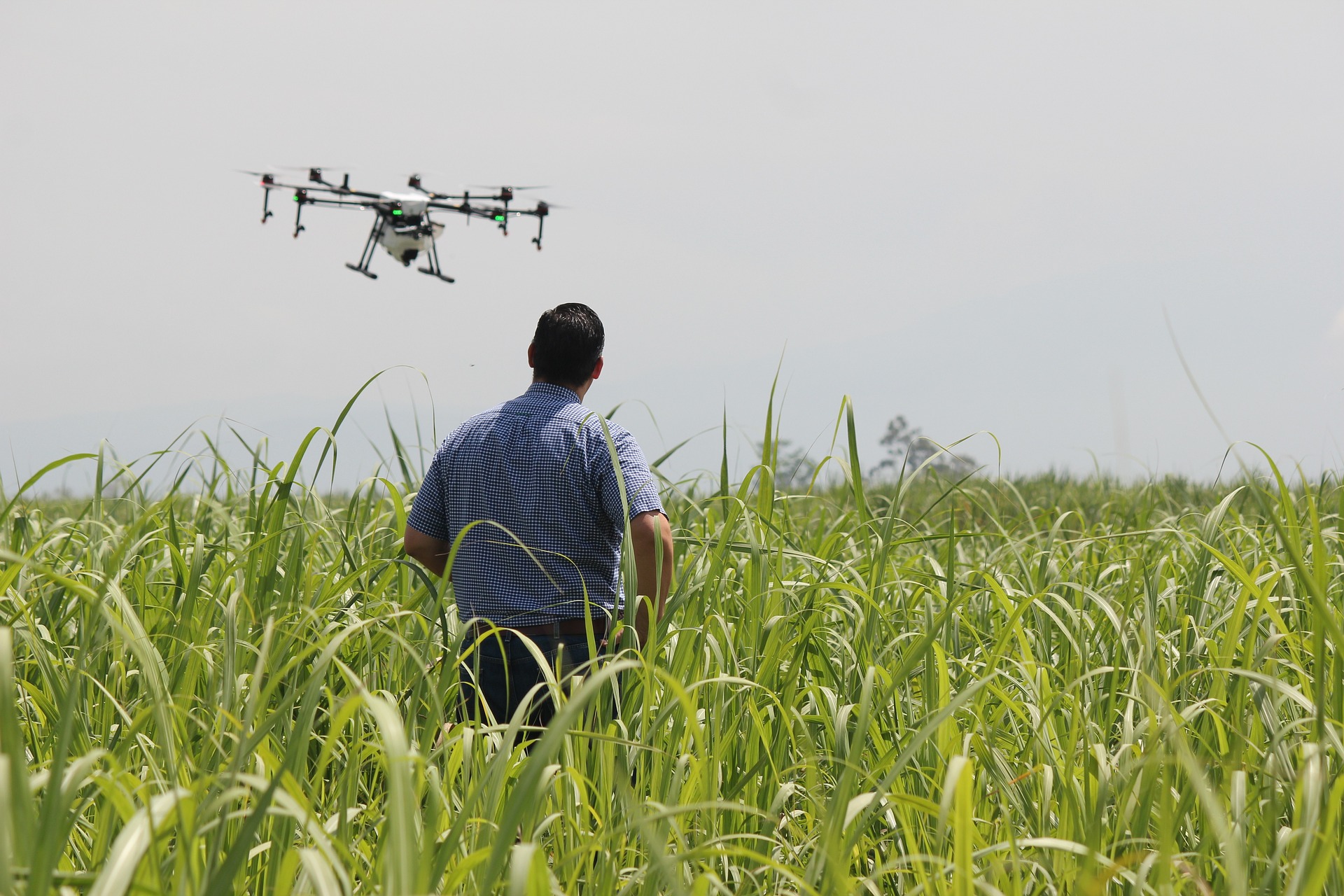 Crop monitoring Crop monitoring