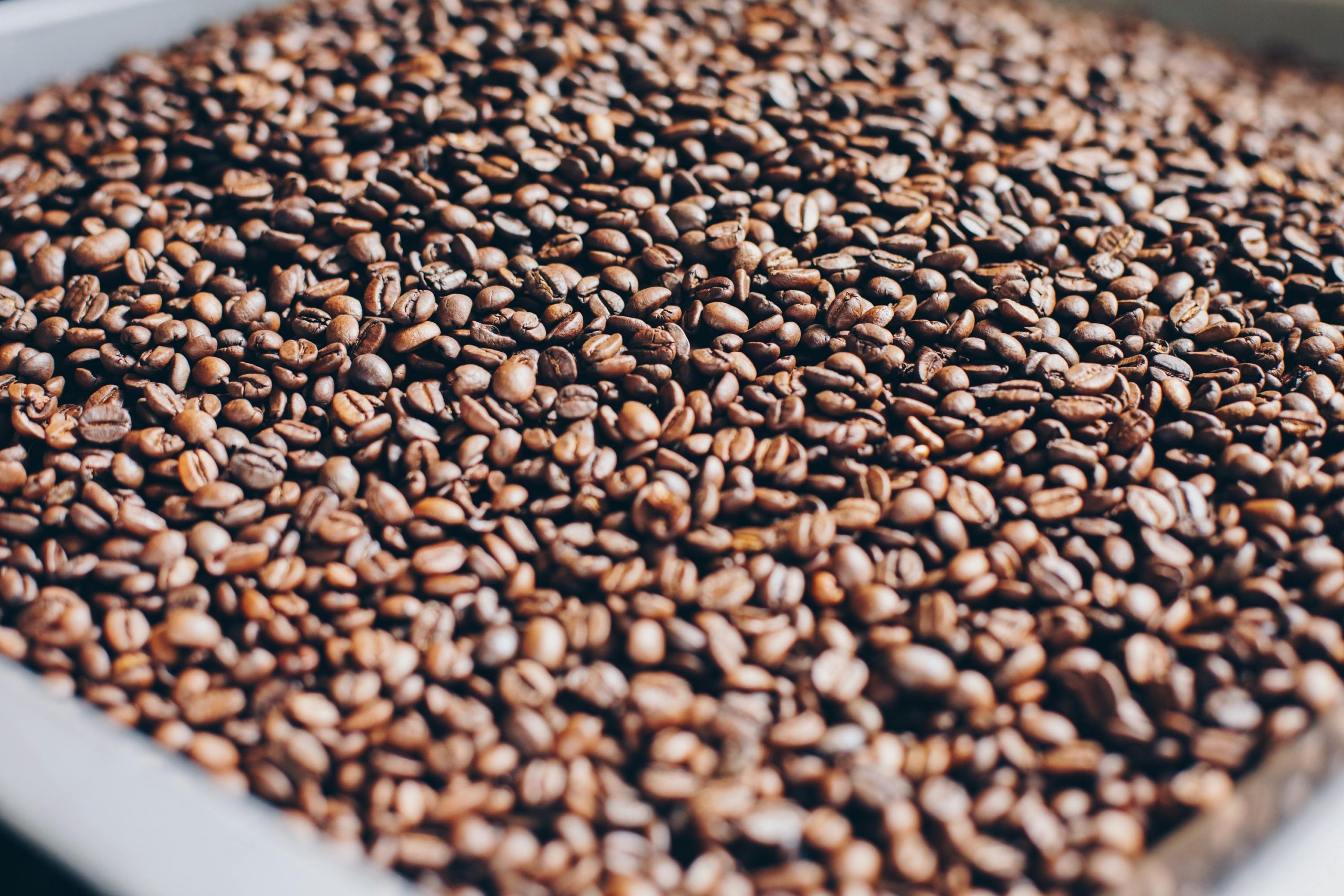 Coffee Beans Coffee Beans