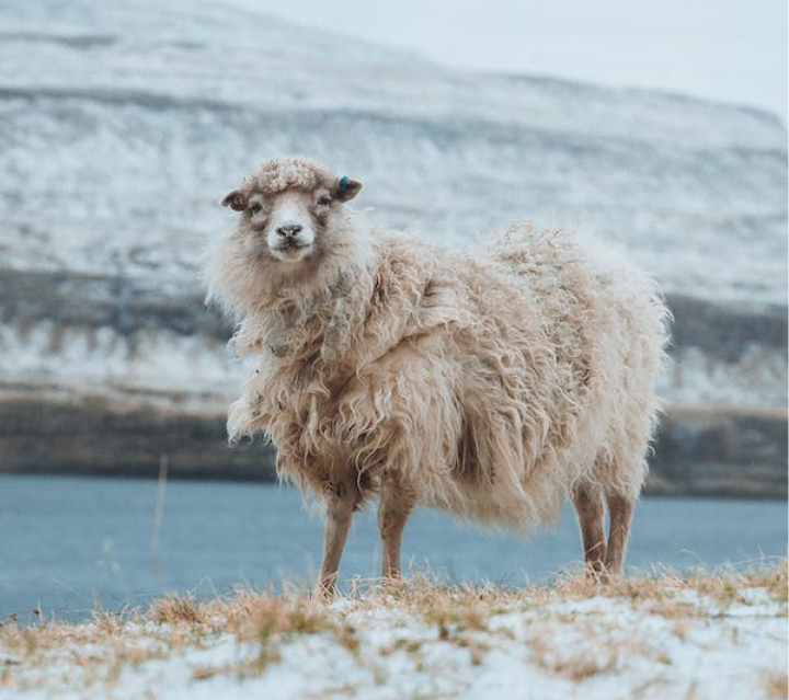 Screenshot-2023-01-23-at-15.54-1