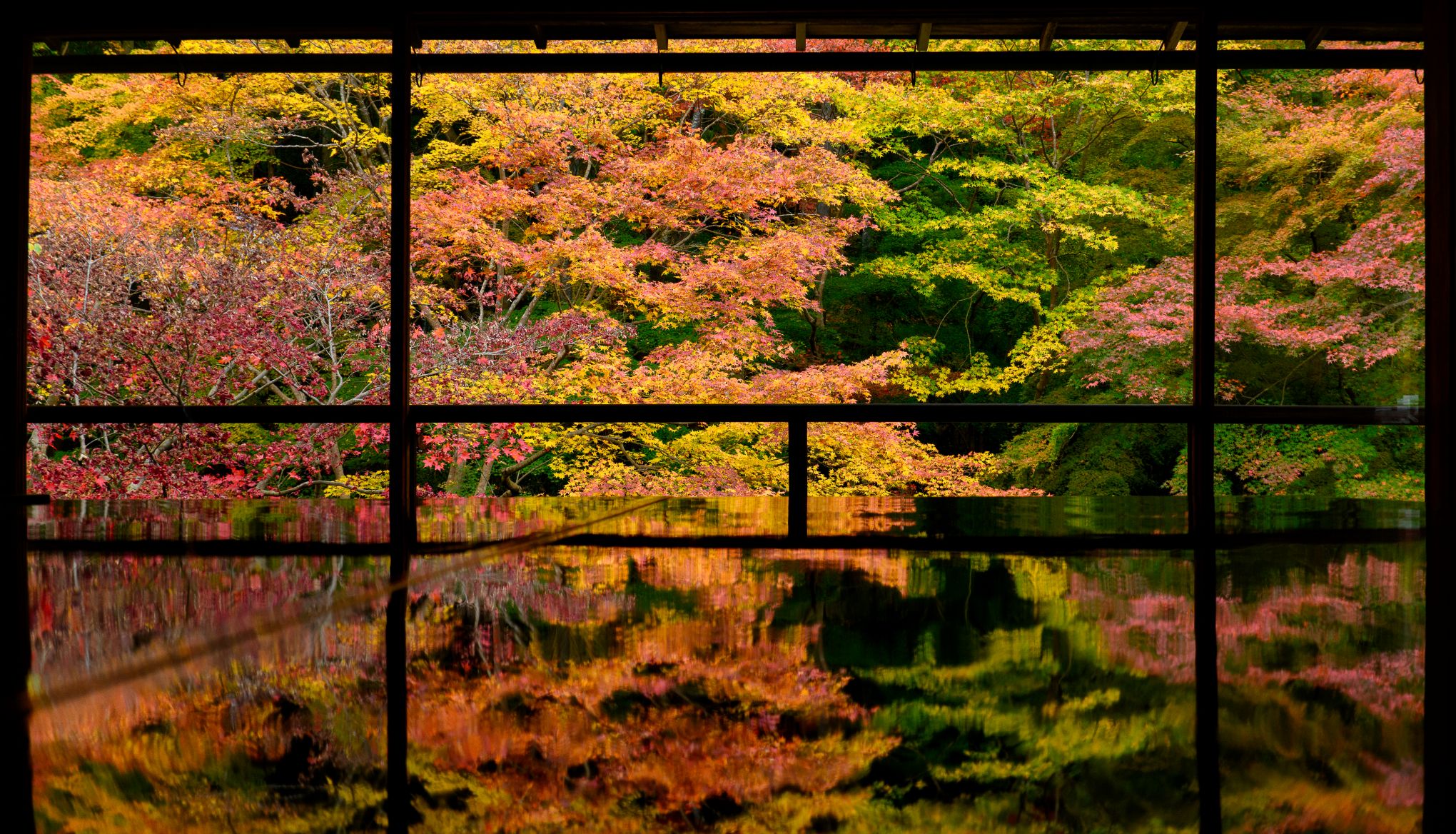 Tourisms forest